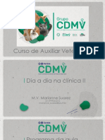 Dia A Dia Na Clinica II PDF