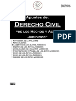 Resumen Obligaciones Hechos & Actos L&N PDF