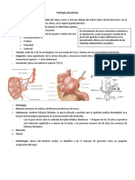 Patología Apendicular