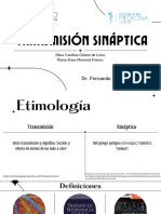 Transmisión Sináptica PDF