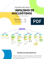 Equipo 9 - MC B. Nitrogenadas PDF