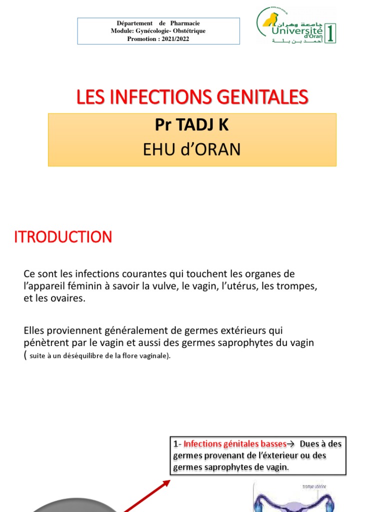 Infections Genitales Basse Et Hautes | PDF