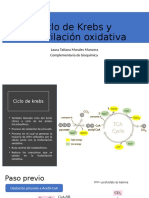 Ciclo de Krebs y FOX