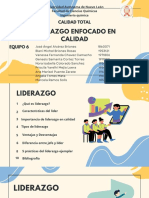 Liderazgo E6 PDF