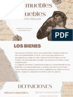 Bienes Muebles e Inmuebles PDF