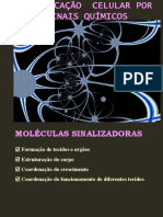 Comunicacao Quimica Entre Celulas 100407