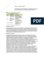 Cap 28 Camplylobacter y Helycobacter