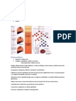 Neoplasia