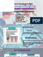 Bacterias PDF