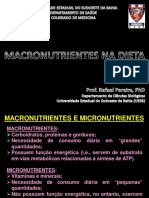 Palestra - MACRONUTRIENTES NA DIETA PDF