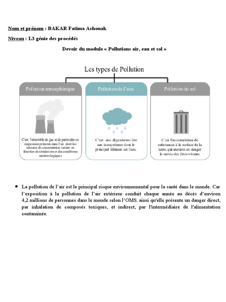 Impact de la pollution de l'air | PDF