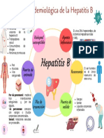 Cadena de La Hepatitis B PDF