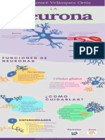 Las Neuronas PDF