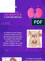 Abscesos, cáncer y enfermedades renales