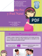 Presentacion Definitiva Consulta Pre y Post Natal