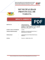 8.formato 24. Impacto Ambiental