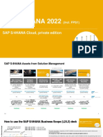 S4H 2022 FPS1 Business Scope PDF