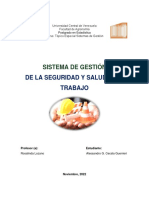 Sistema de Gestión de Seguridad y Salud en El Trabajo - Alessandro Cecala