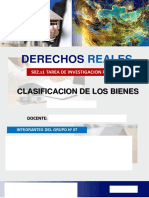 Clasificaciones de Bienes D°R PDF