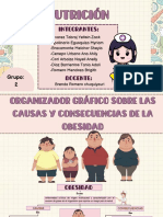 Organizador Gráfico Sobre Las Causas y Consecuencias de La Obesidad