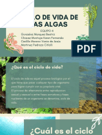 Ciclo de Vida de Las Algas PDF