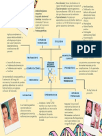 Síndrome Beckwith-Wiedemann PDF