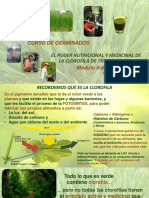 CURSO GERMINADOS - Módulo 4 PDF