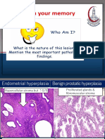 Y1.2 Cell Injury 2 PDF