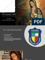 Caballeros de María de Guadalupe