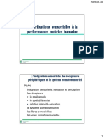 Perceptivo PDF