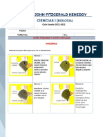 Pinzones Alimentos PDF