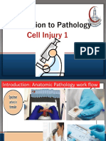 Y1.1 Intro Cell Injury 1 PDF