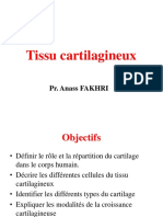 Chapitre 1.3 - Tissu Cartilagineux PDF