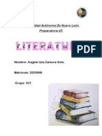 AIZS - AR Etapa 2 - LITERATURA