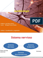 Células Del Tejido Nervioso