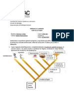 Guía de Estudio - Práctica#6 - BGII - KatherineZelada PDF