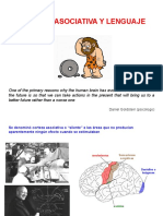 Corteza Asociativa Y Lenguaje: Daniel Goldstein (Psicólogo)