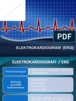 Elektrokardiogram (Ekg) 