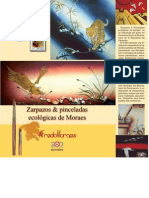 Zarpazos & Pinceladas ecológicas de Moraes - Alfredo Moraes - PortalGuarani