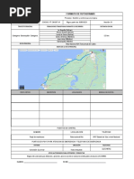 Modelo Formato Informe de GPS | PDF