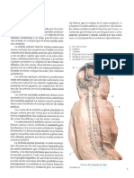 SNC Neurodesarrollo - Irrigacion PDF