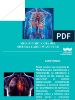 Sistema Cardiovascular