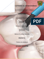 Practica de Selladores 1 PDF