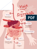 Sistema Digestivo PDF
