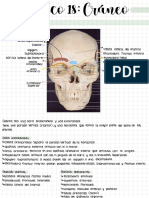 Teórico 18 Anato C PDF