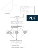 299594939-Schematic-Diagram-of-the-Pathophysiology-of-giving-birth (AutoRecovered)