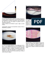 Práctica de Laboratorio #3 PDF