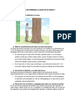 Cómo Determinar La Edad de Un Árbol PDF