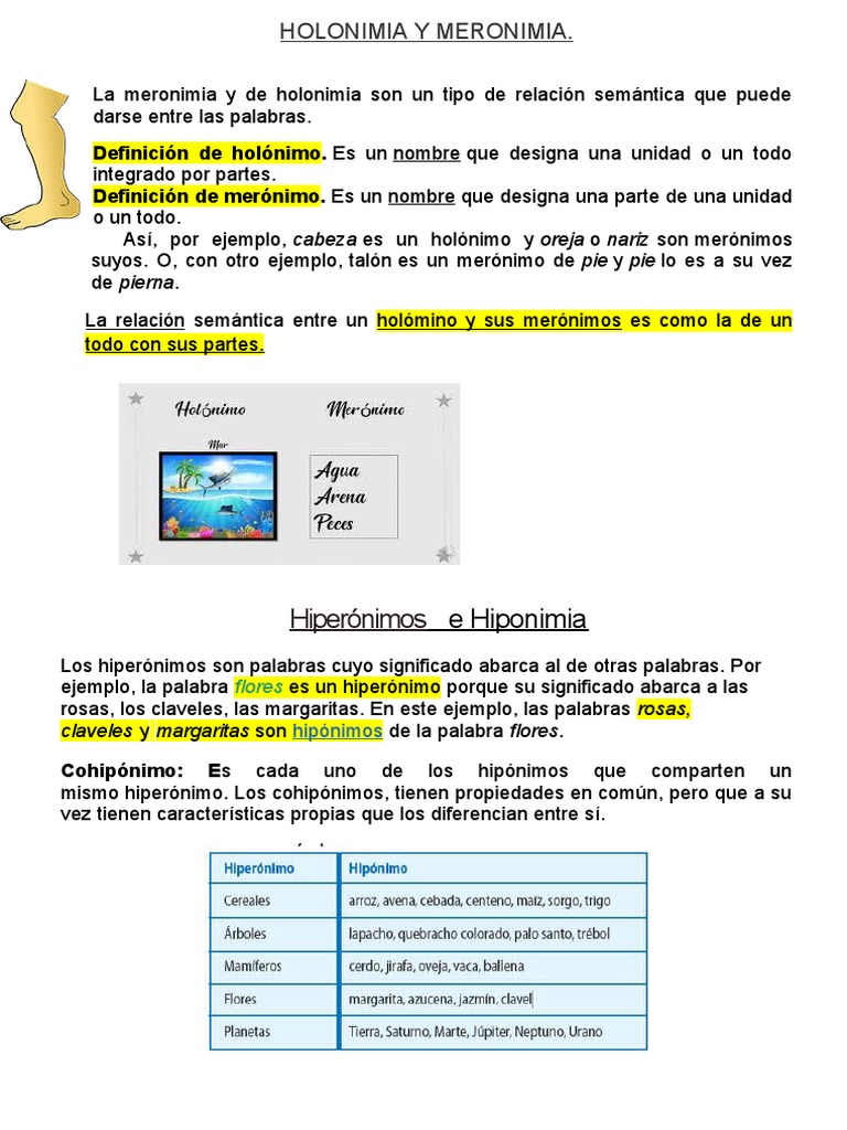 Holonimia y Meronimia PDF