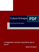 Culture Entrepreneuriale